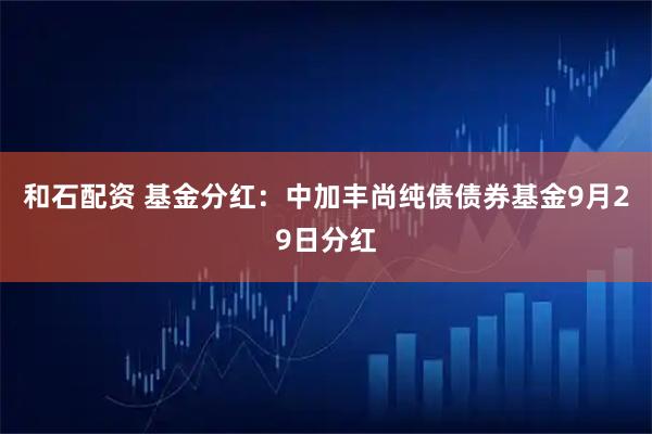 和石配资 基金分红：中加丰尚纯债债券基金9月29日分红