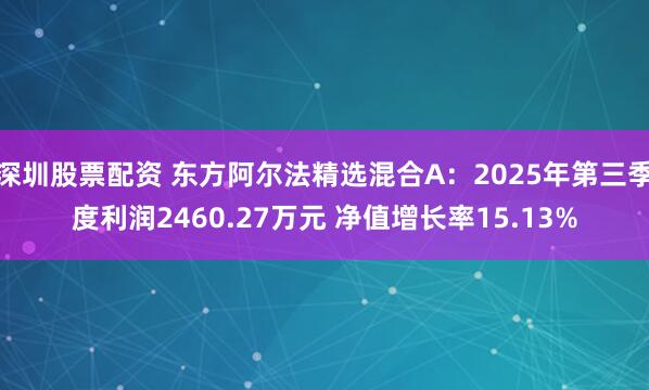 深圳股票配资 东方阿尔法精选混合A：2025年第三季度利润2460.27万元 净值增长率15.13%