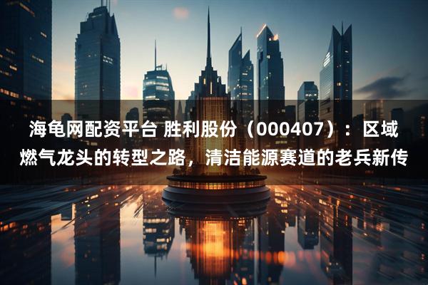 海龟网配资平台 胜利股份（000407）：区域燃气龙头的转型之路，清洁能源赛道的老兵新传