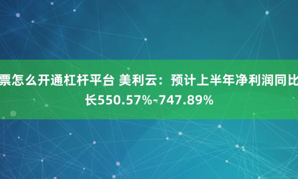 股票怎么开通杠杆平台 美利云：预计上半年净利润同比增长550.57%-747.89%