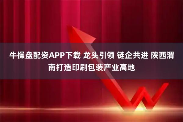 牛操盘配资APP下载 龙头引领 链企共进 陕西渭南打造印刷包装产业高地